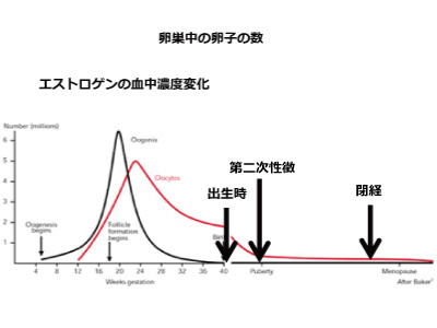 時間管理のマトリックス