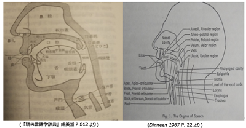 Loud TalkingによるCOVID-19拡散増をPhonetics(音声学)から観る：Stops(閉鎖音)、Fricatives(摩擦音)、Affricates(破擦音)のAspiration(気音)