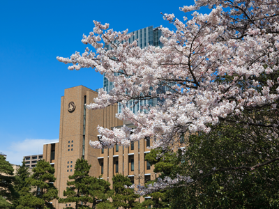 東北大学