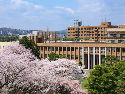 東北大学